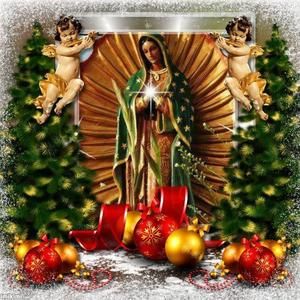 Meet your Posher, Edith